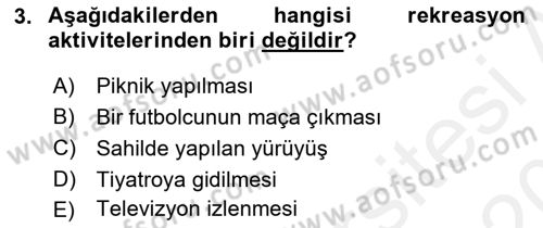 Boş Zaman ve Rekreasyon Yönetimi Dersi 2015 - 2016 Yılı Tek Ders Sınav Soruları 3. Soru