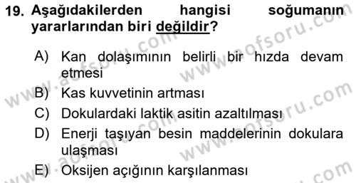 Sporda Risk Yönetimi Dersi 2018 - 2019 Yılı (Final) Dönem Sonu Sınav Soruları 19. Soru