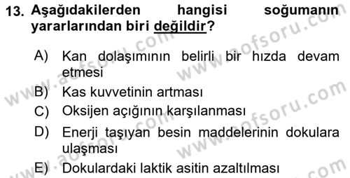 Sporda Risk Yönetimi Dersi 2020 - 2021 Yılı Yaz Okulu Sınav Soruları 13. Soru