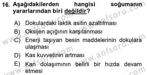 Sporda Risk Yönetimi Dersi 2023 - 2024 Yılı Yaz Okulu Sınav Soruları 16. Soru