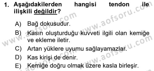 Sporcu Sağlığı Ve Egzersiz Dersi 2022 - 2023 Yılı Yaz Okulu Sınav Soruları 1. Soru