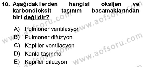 Sporcu Sağlığı Ve Egzersiz Dersi 2023 - 2024 Yılı (Vize) Ara Sınav Soruları 10. Soru