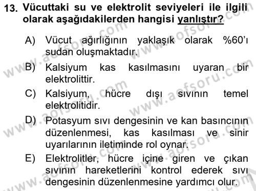 Sporcu Sağlığı Ve Egzersiz Dersi 2023 - 2024 Yılı (Vize) Ara Sınav Soruları 13. Soru
