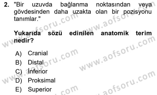 Sporcu Sağlığı Ve Egzersiz Dersi 2023 - 2024 Yılı (Vize) Ara Sınav Soruları 2. Soru