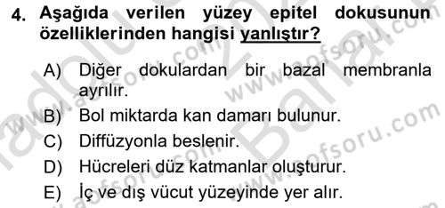 Sporcu Sağlığı Ve Egzersiz Dersi 2023 - 2024 Yılı (Vize) Ara Sınav Soruları 4. Soru