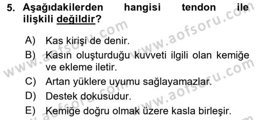 Sporcu Sağlığı Ve Egzersiz Dersi 2023 - 2024 Yılı (Vize) Ara Sınav Soruları 5. Soru