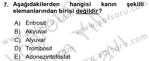 Sporcu Sağlığı Ve Egzersiz Dersi 2023 - 2024 Yılı (Vize) Ara Sınav Soruları 7. Soru