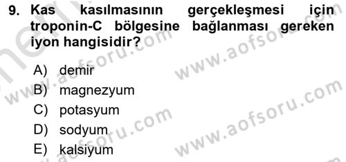 Sporcu Sağlığı Ve Egzersiz Dersi 2023 - 2024 Yılı (Vize) Ara Sınav Soruları 9. Soru