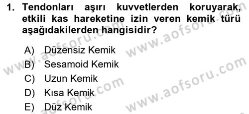 Sporcu Sağlığı Ve Egzersiz Dersi 2023 - 2024 Yılı (Final) Dönem Sonu Sınav Soruları 1. Soru