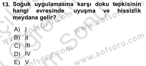 Sporcu Sağlığı Ve Egzersiz Dersi 2023 - 2024 Yılı (Final) Dönem Sonu Sınav Soruları 13. Soru