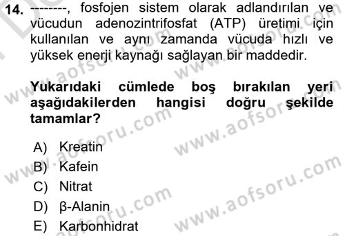Sporcu Sağlığı Ve Egzersiz Dersi 2023 - 2024 Yılı (Final) Dönem Sonu Sınav Soruları 14. Soru