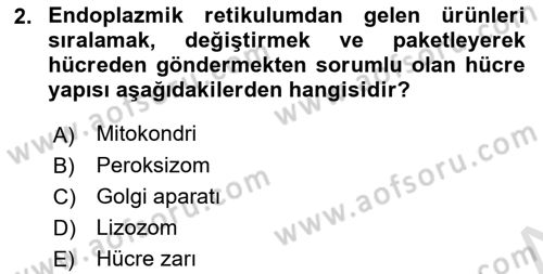 Sporcu Sağlığı Ve Egzersiz Dersi 2023 - 2024 Yılı (Final) Dönem Sonu Sınav Soruları 2. Soru