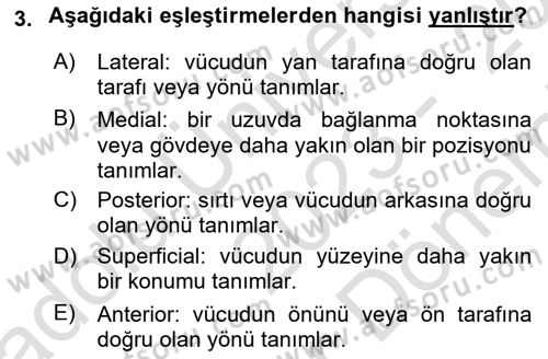 Sporcu Sağlığı Ve Egzersiz Dersi 2023 - 2024 Yılı (Final) Dönem Sonu Sınav Soruları 3. Soru