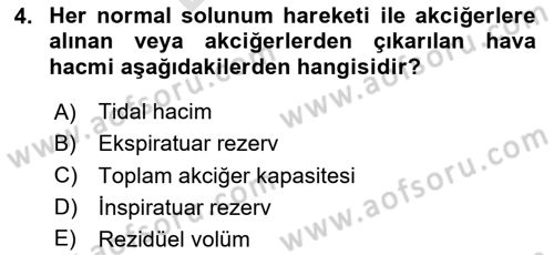 Sporcu Sağlığı Ve Egzersiz Dersi 2023 - 2024 Yılı (Final) Dönem Sonu Sınav Soruları 4. Soru