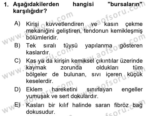 Sporcu Sağlığı Ve Egzersiz Dersi 2023 - 2024 Yılı Yaz Okulu Sınav Soruları 1. Soru