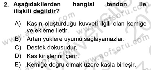 Sporcu Sağlığı Ve Egzersiz Dersi 2023 - 2024 Yılı Yaz Okulu Sınav Soruları 2. Soru