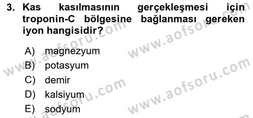 Sporcu Sağlığı Ve Egzersiz Dersi 2023 - 2024 Yılı Yaz Okulu Sınav Soruları 3. Soru
