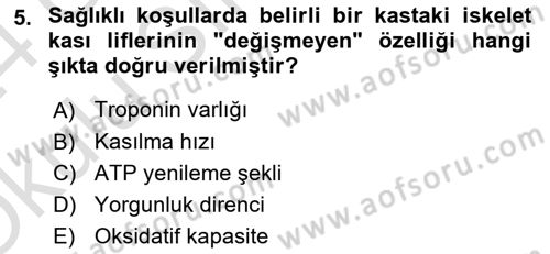 Sporcu Sağlığı Ve Egzersiz Dersi 2023 - 2024 Yılı Yaz Okulu Sınav Soruları 5. Soru