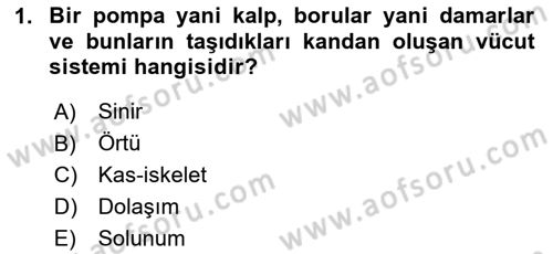 Sporcu Sağlığı Ve Egzersiz Dersi 2024 - 2025 Yılı (Vize) Ara Sınav Soruları 1. Soru