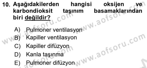Sporcu Sağlığı Ve Egzersiz Dersi 2024 - 2025 Yılı (Vize) Ara Sınav Soruları 10. Soru