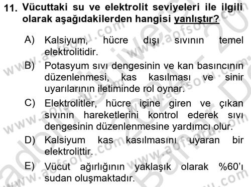 Sporcu Sağlığı Ve Egzersiz Dersi 2024 - 2025 Yılı (Vize) Ara Sınav Soruları 11. Soru