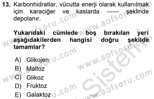 Sporcu Sağlığı Ve Egzersiz Dersi 2024 - 2025 Yılı (Vize) Ara Sınav Soruları 13. Soru