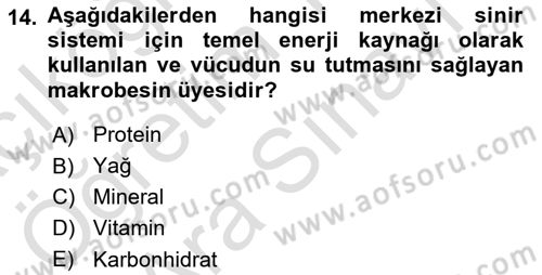 Sporcu Sağlığı Ve Egzersiz Dersi 2024 - 2025 Yılı (Vize) Ara Sınav Soruları 14. Soru