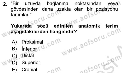 Sporcu Sağlığı Ve Egzersiz Dersi 2024 - 2025 Yılı (Vize) Ara Sınav Soruları 2. Soru