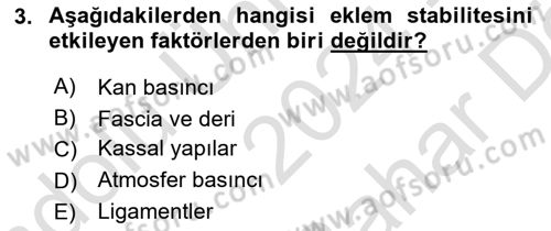 Sporcu Sağlığı Ve Egzersiz Dersi 2024 - 2025 Yılı (Vize) Ara Sınav Soruları 3. Soru