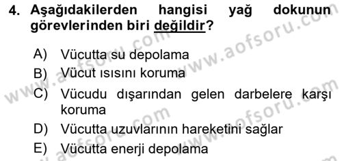 Sporcu Sağlığı Ve Egzersiz Dersi 2024 - 2025 Yılı (Vize) Ara Sınav Soruları 4. Soru