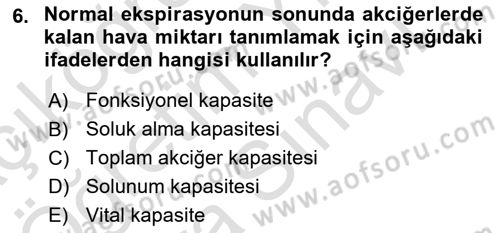 Sporcu Sağlığı Ve Egzersiz Dersi 2024 - 2025 Yılı (Vize) Ara Sınav Soruları 6. Soru