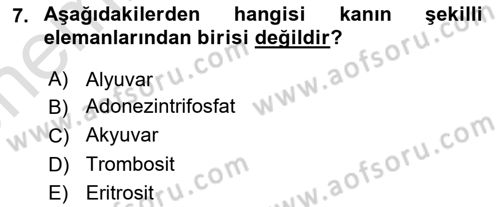 Sporcu Sağlığı Ve Egzersiz Dersi 2024 - 2025 Yılı (Vize) Ara Sınav Soruları 7. Soru