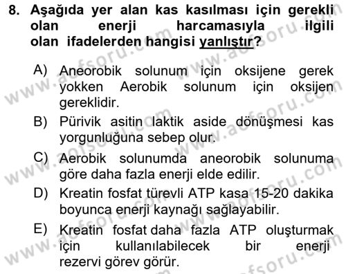 Sporcu Sağlığı Ve Egzersiz Dersi 2024 - 2025 Yılı (Vize) Ara Sınav Soruları 8. Soru