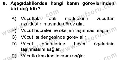 Sporcu Sağlığı Ve Egzersiz Dersi 2024 - 2025 Yılı (Vize) Ara Sınav Soruları 9. Soru