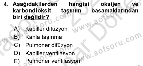 Sporcu Sağlığı Ve Egzersiz Dersi 2024 - 2025 Yılı (Final) Dönem Sonu Sınav Soruları 4. Soru
