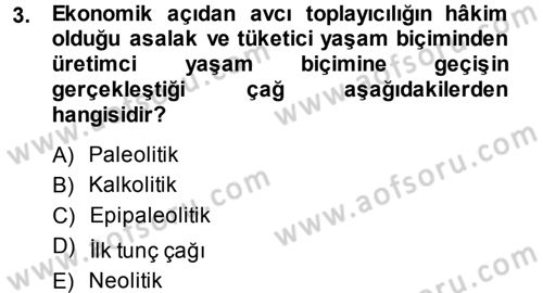 Eski Anadolu Tarihi Dersi 2013 - 2014 Yılı (Vize) Ara Sınav Soruları 3. Soru