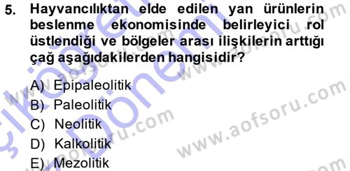 Eski Anadolu Tarihi Dersi 2013 - 2014 Yılı (Vize) Ara Sınav Soruları 5. Soru
