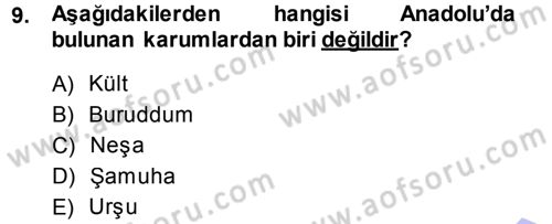 Eski Anadolu Tarihi Dersi 2013 - 2014 Yılı (Vize) Ara Sınav Soruları 9. Soru