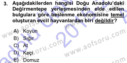 Eski Anadolu Tarihi Dersi 2015 - 2016 Yılı (Vize) Ara Sınav Soruları 3. Soru