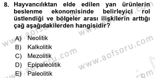 Eski Anadolu Tarihi Dersi 2018 - 2019 Yılı (Vize) Ara Sınav Soruları 8. Soru