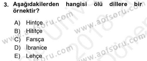 Eski Anadolu Tarihi Dersi 2018 - 2019 Yılı (Final) Dönem Sonu Sınav Soruları 3. Soru