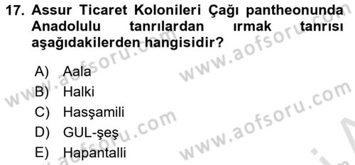 Eski Anadolu Tarihi Dersi 2022 - 2023 Yılı (Vize) Ara Sınav Soruları 17. Soru
