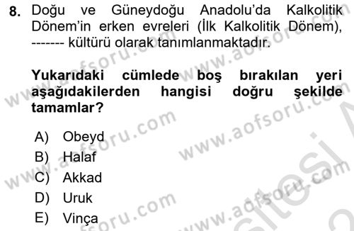 Eski Anadolu Tarihi Dersi 2023 - 2024 Yılı (Vize) Ara Sınav Soruları 8. Soru
