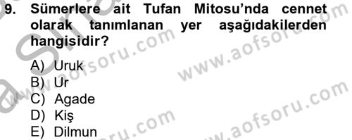 Eski Mezopotamya ve Mısır Tarihi Dersi 2012 - 2013 Yılı (Vize) Ara Sınav Soruları 9. Soru