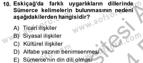 Eski Mezopotamya ve Mısır Tarihi Dersi 2013 - 2014 Yılı (Vize) Ara Sınav Soruları 10. Soru