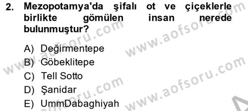 Eski Mezopotamya ve Mısır Tarihi Dersi 2013 - 2014 Yılı (Vize) Ara Sınav Soruları 2. Soru