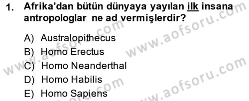 Eski Mezopotamya ve Mısır Tarihi Dersi 2013 - 2014 Yılı (Final) Dönem Sonu Sınav Soruları 1. Soru