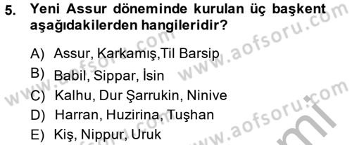 Eski Mezopotamya ve Mısır Tarihi Dersi 2013 - 2014 Yılı (Final) Dönem Sonu Sınav Soruları 5. Soru