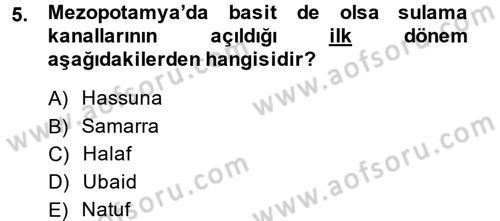 Eski Mezopotamya ve Mısır Tarihi Dersi 2014 - 2015 Yılı (Vize) Ara Sınav Soruları 5. Soru