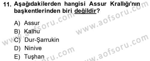 Eski Mezopotamya ve Mısır Tarihi Dersi 2014 - 2015 Yılı (Final) Dönem Sonu Sınav Soruları 11. Soru